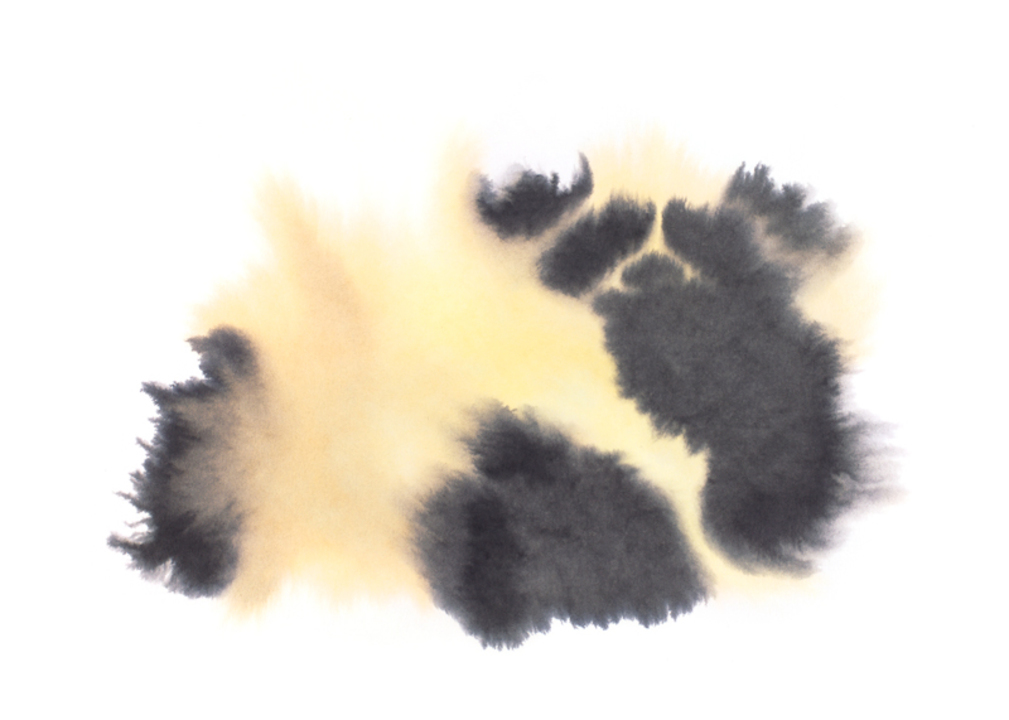 Rop van Mierlo, Panda