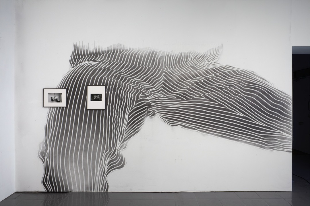 fionabanner peer UK-16458d.jpg